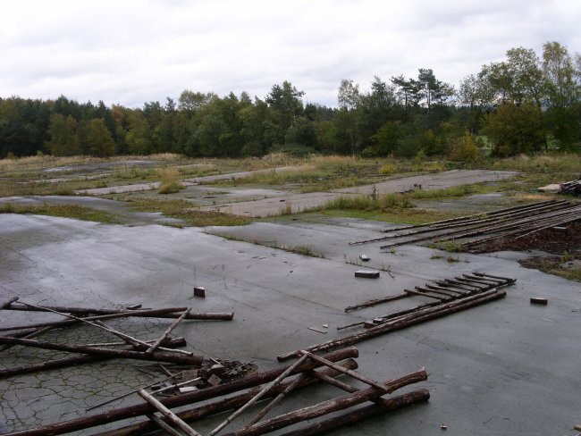 Site 5 - 2006